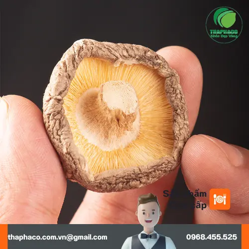 Các món chay ngon từ nấm đông cô