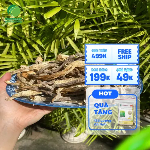 Hình ảnh nấm lộc nhung tự nhiên