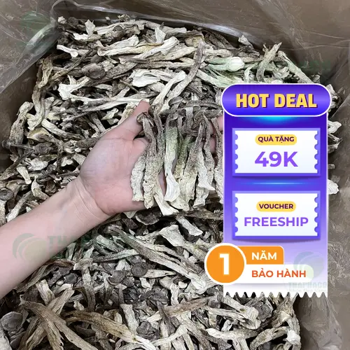 Món ngon từ nấm lộc nhung
