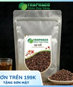 Địa Chỉ Bán Nụ Vối Khô Giá Tốt Tại TP.HCM