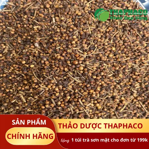 Quy trình đóng gói Nụ Vối khô tại THAPHACO