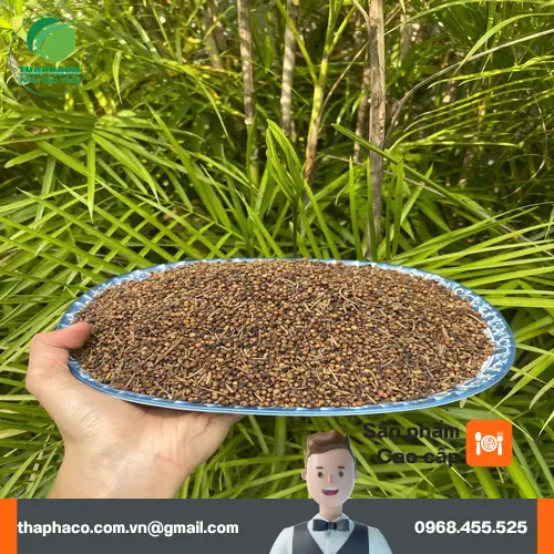 Cách pha trà nụ vối đúng chuẩn