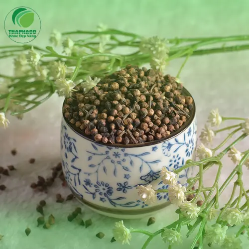 Giải đáp thắc mắc về Nụ Vối khô