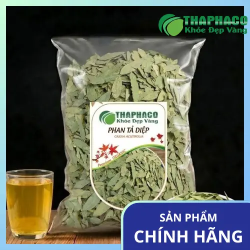 Hình ảnh lá Phan Tả Diệp khô