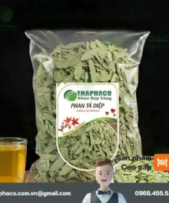 Phan Tả Diệp Sấy Khô 1kg: Giải Pháp Cho Nhà Thuốc, Đại Lý