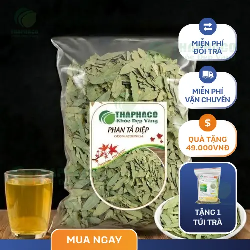 Phan Tả Diệp là gì và công dụng chính