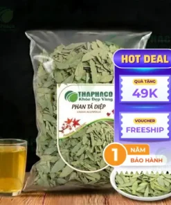 Địa Chỉ Bán Phan Tả Diệp Khô Tại TP.HCM - THAPHACO
