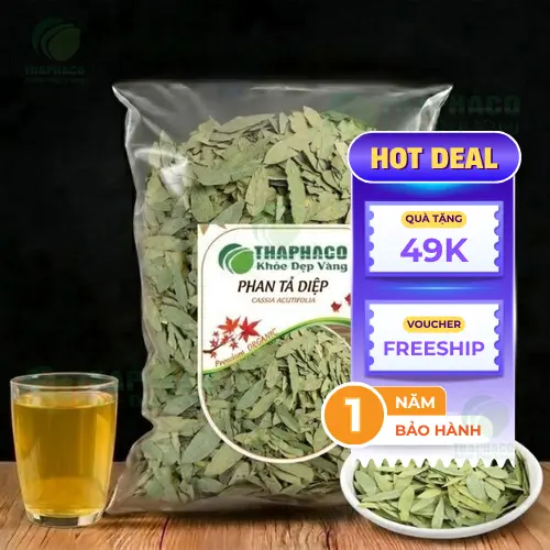 Địa Chỉ Bán Phan Tả Diệp Khô Tại TP.HCM - THAPHACO
