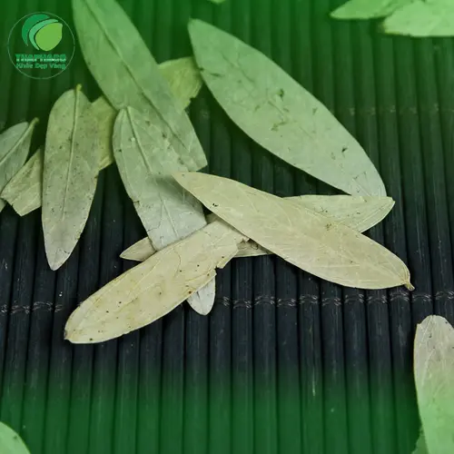 Lá Phan Tả Diệp sấy khô đạt chuẩn, hỗ trợ tiêu hóa