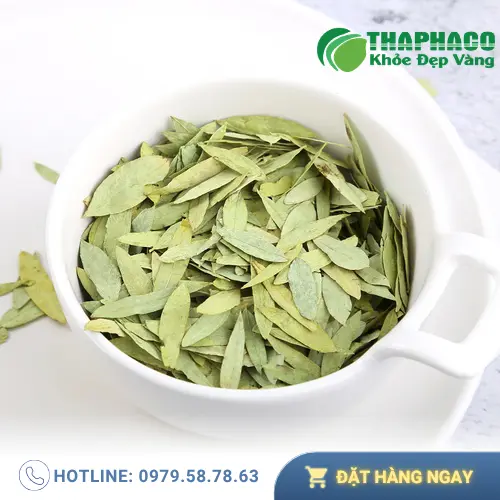 Phan Tả Diệp là dược liệu nhuận tràng tự nhiên