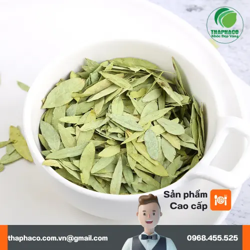 Lá Phan Tả Diệp đã phơi khô