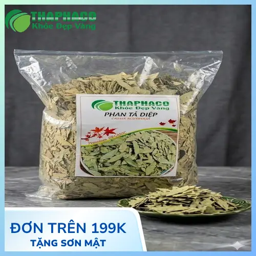 Lưu ý khi sử dụng Phan Tả Diệp