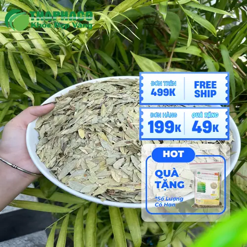 Các quy cách đóng gói Phan Tả Diệp THAPHACO