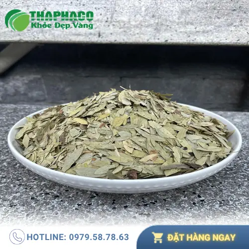 Kho Phan Tả Diệp sấy khô của THAPHACO