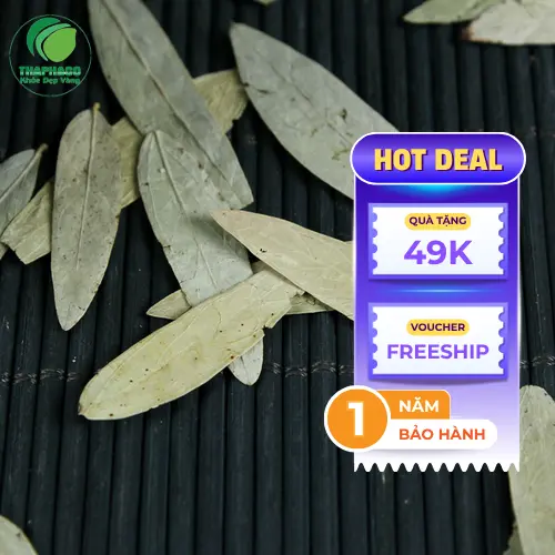 Cách dùng Phan Tả Diệp an toàn