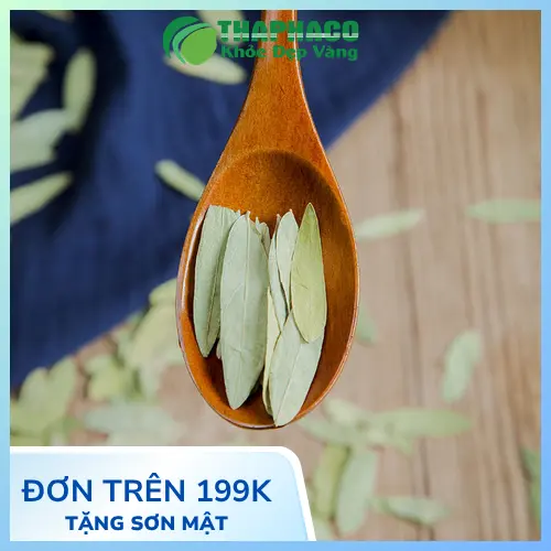 Phan Tả Diệp chất lượng tại THAPHACO
