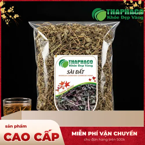 Hình ảnh cây sài đất tươi với hoa màu vàng đặc trưng