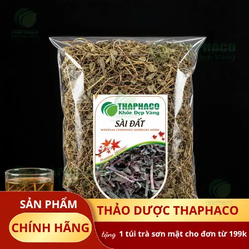 Hình ảnh cây sài đất tươi và sài đất khô tại THAPHACO