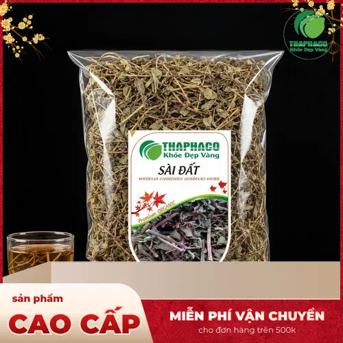 Hình ảnh cây Sài đất xanh tốt với hoa màu vàng tươi