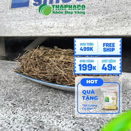 Sài Đất có thể tương tác với thuốc tây