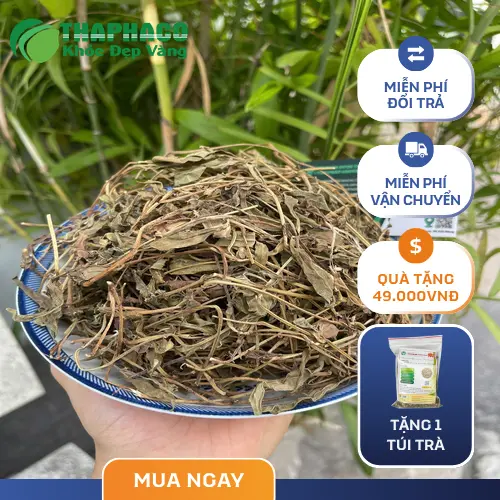 Bảng giá sài đất khô THAPHACO theo quy cách đóng gói