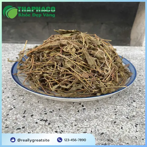 Sài đất khô đã được đóng gói cẩn thận