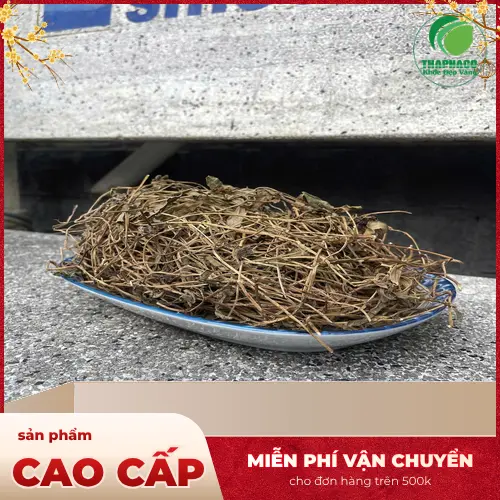 Liên hệ THAPHACO để đặt mua sài đất khô chất lượng