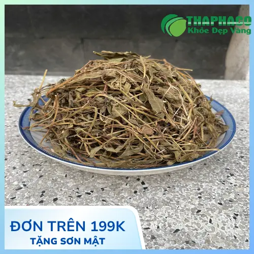 Lưu ý khi sử dụng sài đất khô