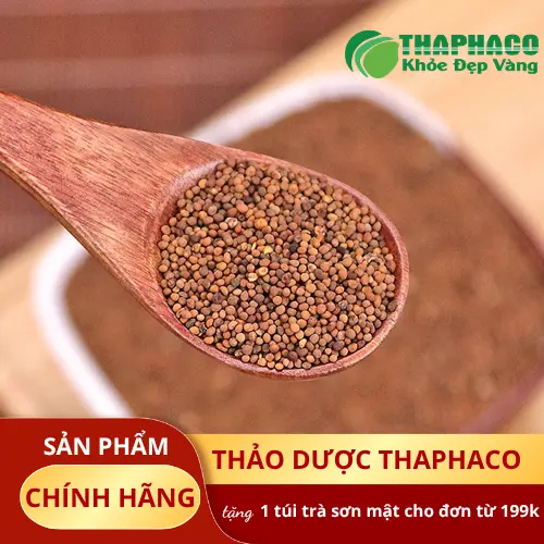 Thỏ Ty Tử trong Y học cổ truyền