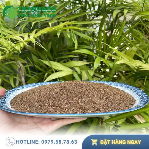 Lưu ý khi sử dụng Thỏ Ty Tử