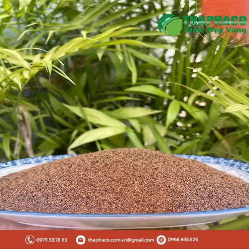 Hướng dẫn sử dụng Thỏ Ty Tử an toàn