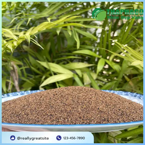 Tư vấn Thỏ Ty Tử khô tại THAPHACO