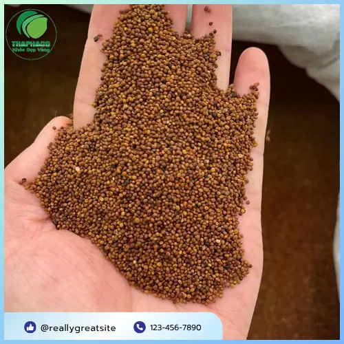 Thỏ Ty Tử chất lượng tại THAPHACO