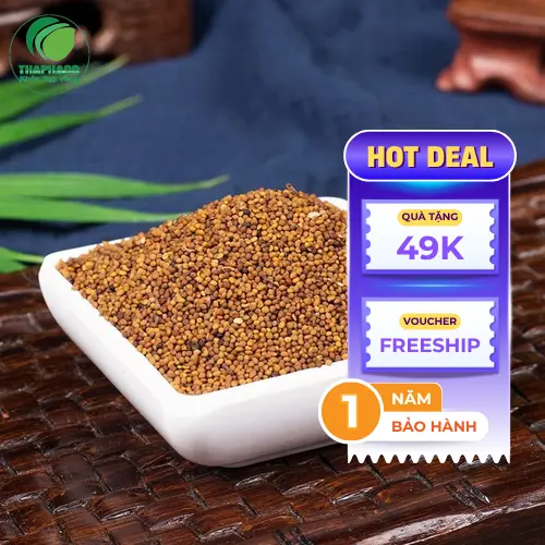 Thỏ Ty Tử và những câu hỏi thường gặp
