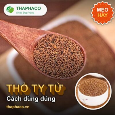 Thỏ ty tử - Cách Dùng Thỏ Ty Tử Đúng Cách Để Phát Huy Công Dụng