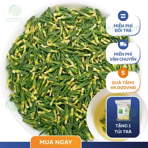 Hình ảnh tim sen chất lượng tại THAPHACO