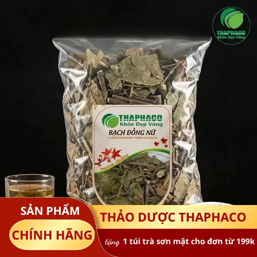 Cây Bạch Đồng Nữ và Đặc Điểm Nhận Biết