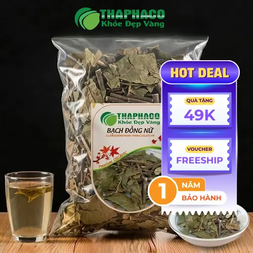 Hình ảnh cây bạch đồng nữ