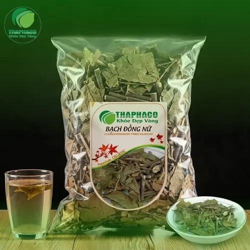 Bạch đồng nữ khô và công dụng tiềm năng