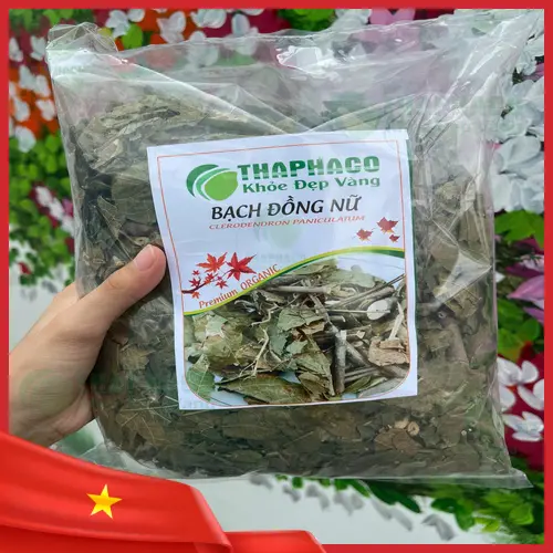 Theo dõi phản ứng cơ thể khi dùng bạch đồng nữ