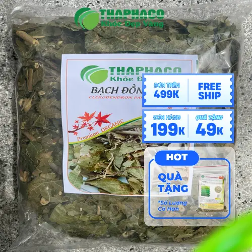 Sắc nước bạch đồng nữ khô để uống