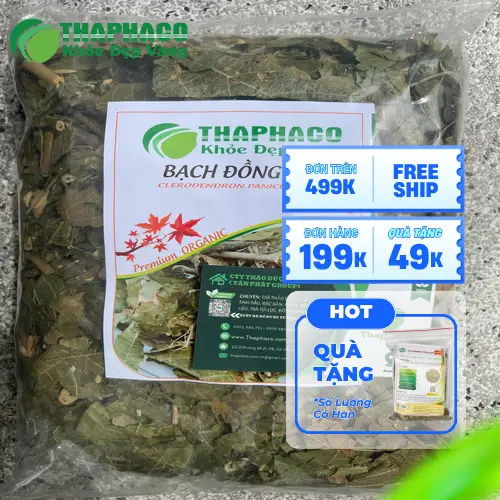 Hướng dẫn cách dùng Bạch Đồng Nữ sấy khô