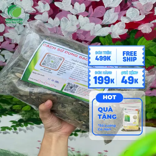 Lưu ý khi dùng bạch đồng nữ
