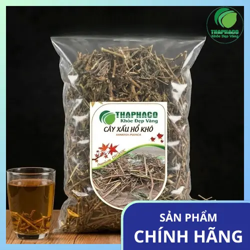Hình ảnh cây xấu hổ khô (cây mắc cỡ) nguyên bản