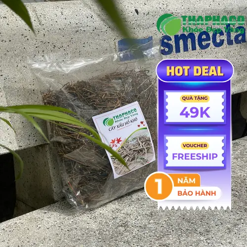Cách sử dụng cây xấu hổ khô để sắc nước uống