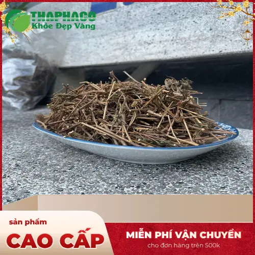 Bao bì cây xấu hổ khô THAPHACO