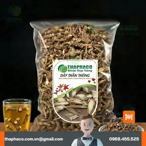 Cây Thần Thông (dây Ký Ninh) và những đặc điểm tự nhiên