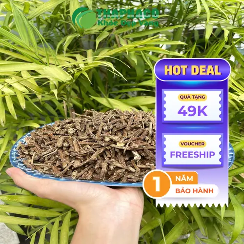 Lợi ích hỗ trợ sức khỏe từ cây Thần Thông