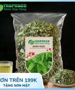Mua Lá Hoàn Ngọc Khô Ở Đâu Uy Tín? THAPHACO Lựa Chọn Hàng Đầu
