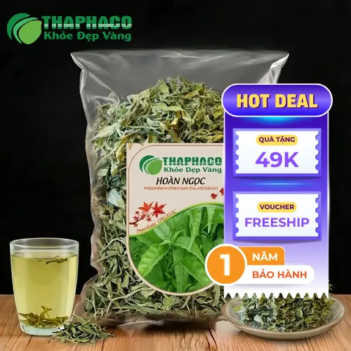 Lá Hoàn Ngọc khô được phơi khô hoặc sấy khô đúng cách